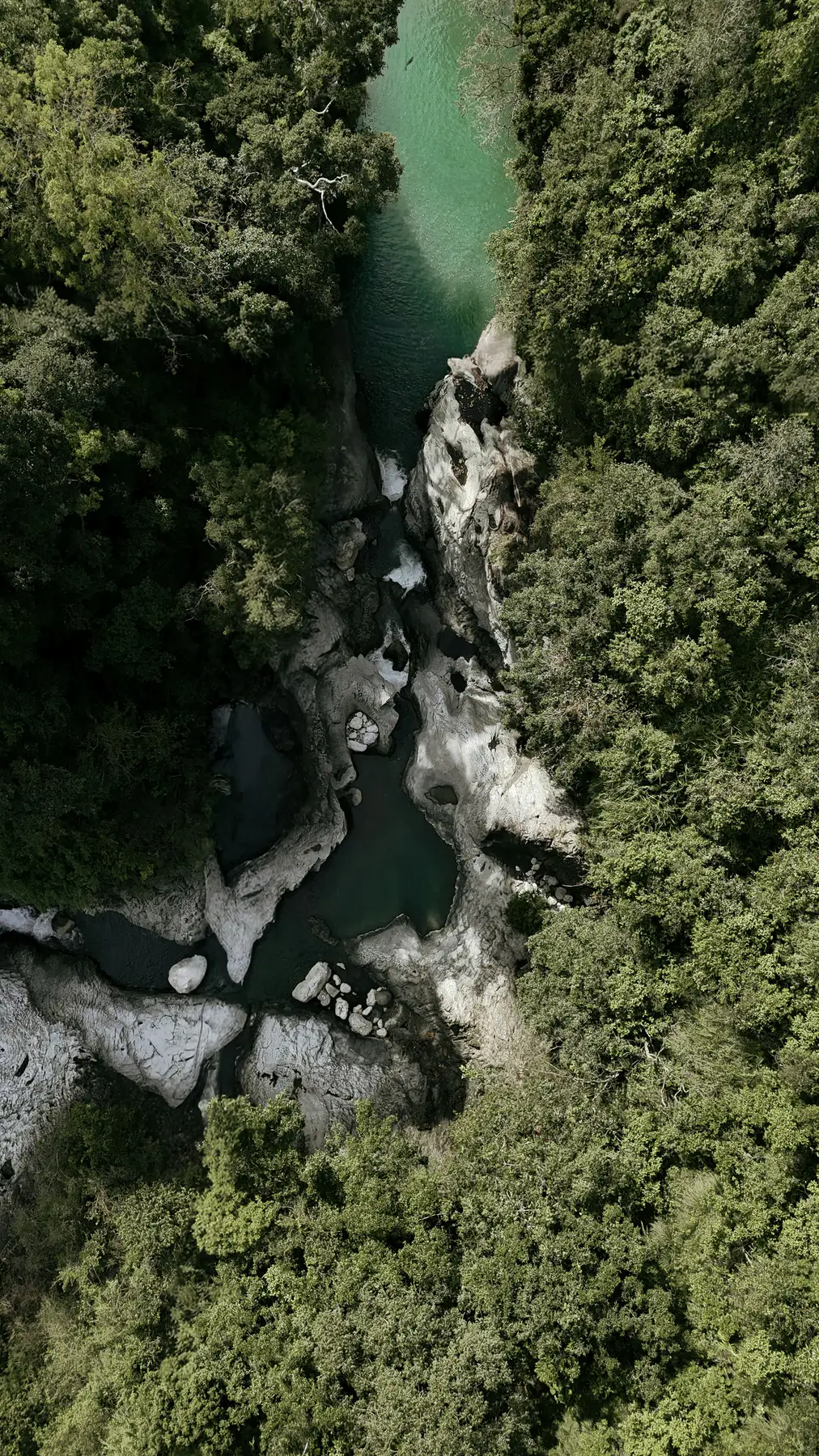 A river running through a forested limestone canyon.